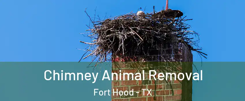Chimney Animal Removal Fort Hood - TX