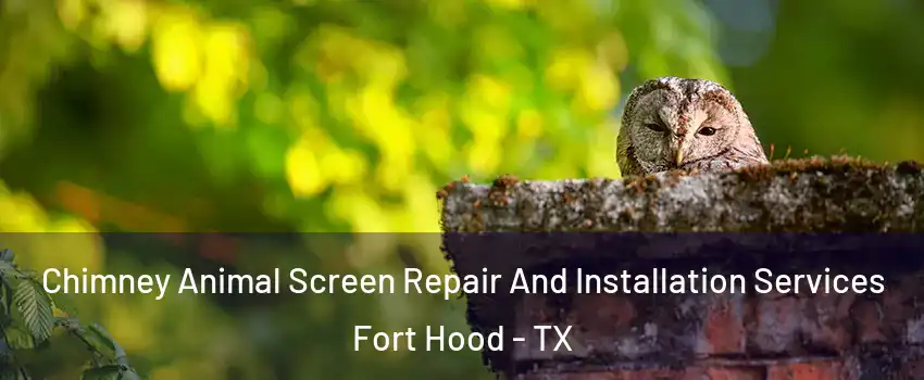  Chimney Animal Screen Repair And Installation Services Fort Hood - TX