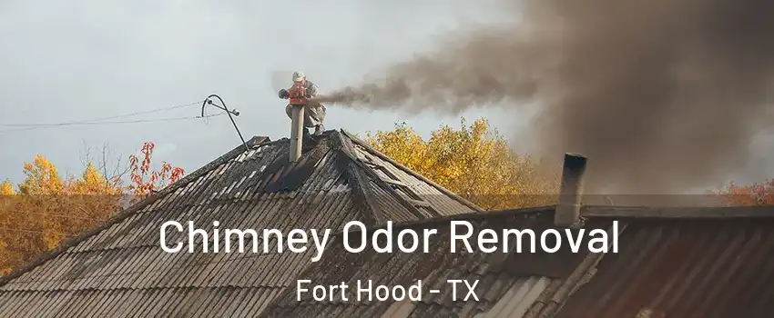  Chimney Odor Removal Fort Hood - TX