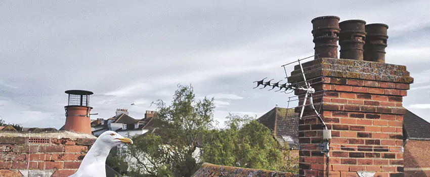 Chimney Cleaning And Restoration in Fort Hood, Texas