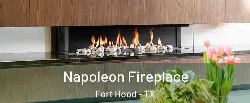  Napoleon Fireplace Fort Hood - TX